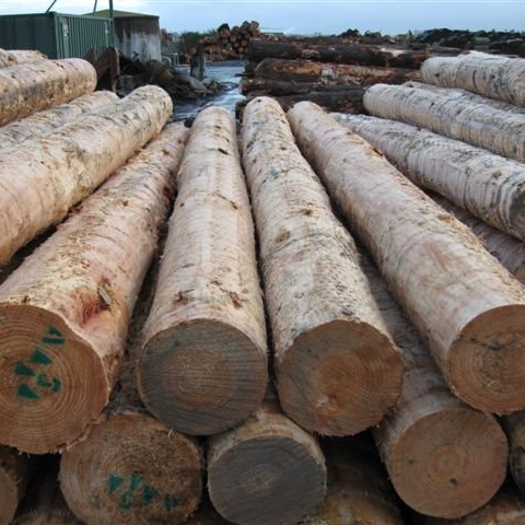 Logs