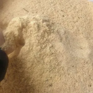 Pine Sawdust