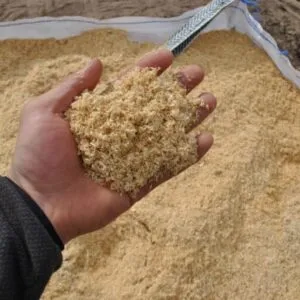 Spruce sawdust