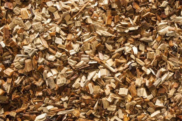 Oak Wood Chips